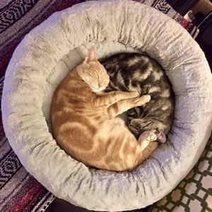 Meet your Posher, Hillary